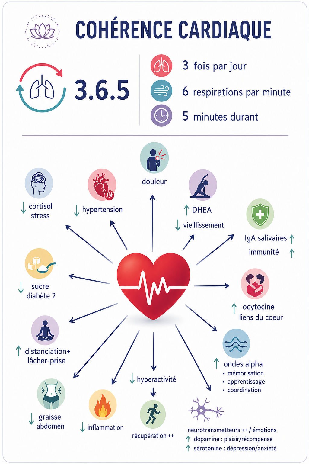 Infographie Cohérence Cardiaque 3.6.5 — bénéfices physiologiques et mentaux