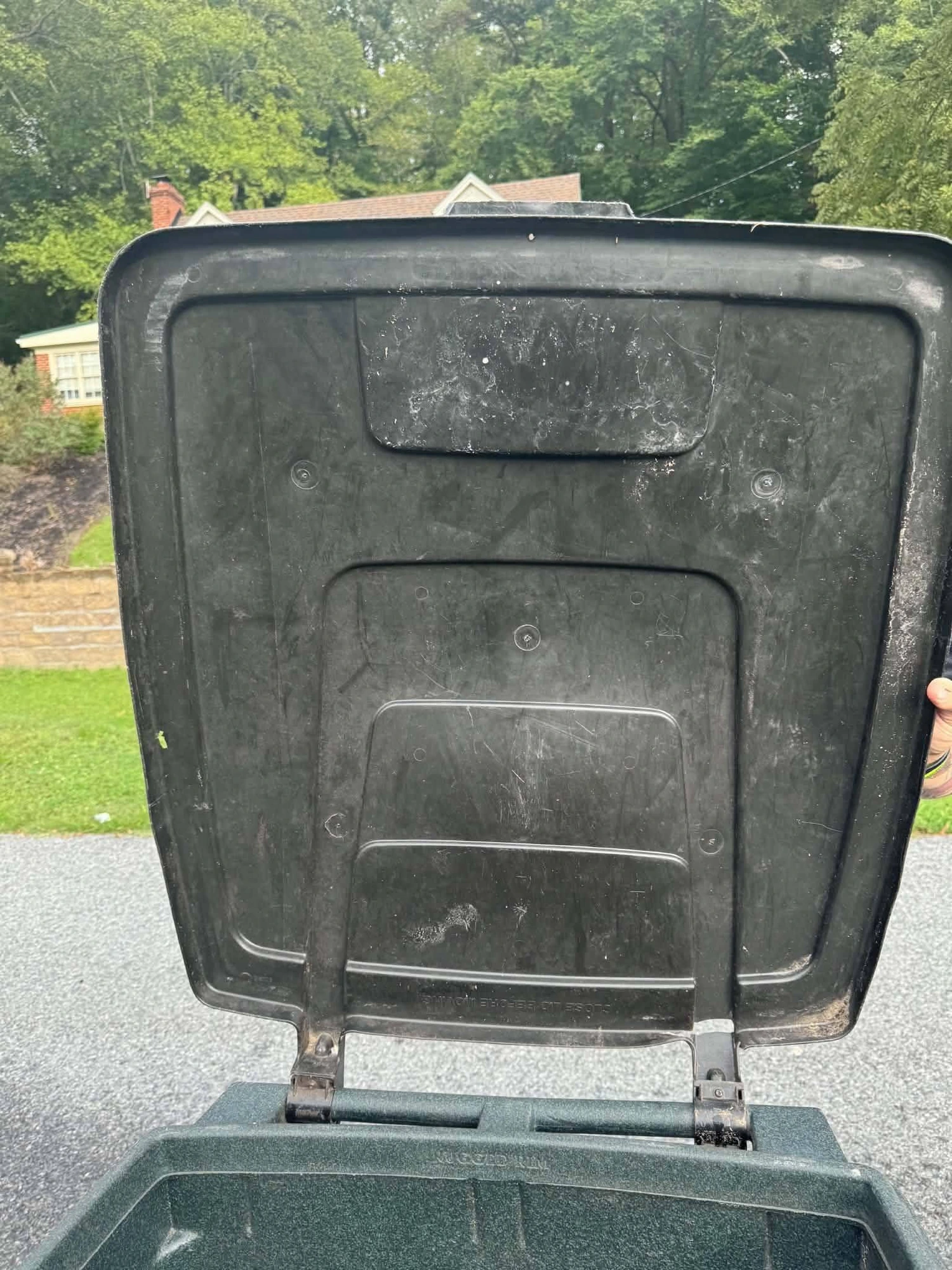 Lid & Body before cleaning