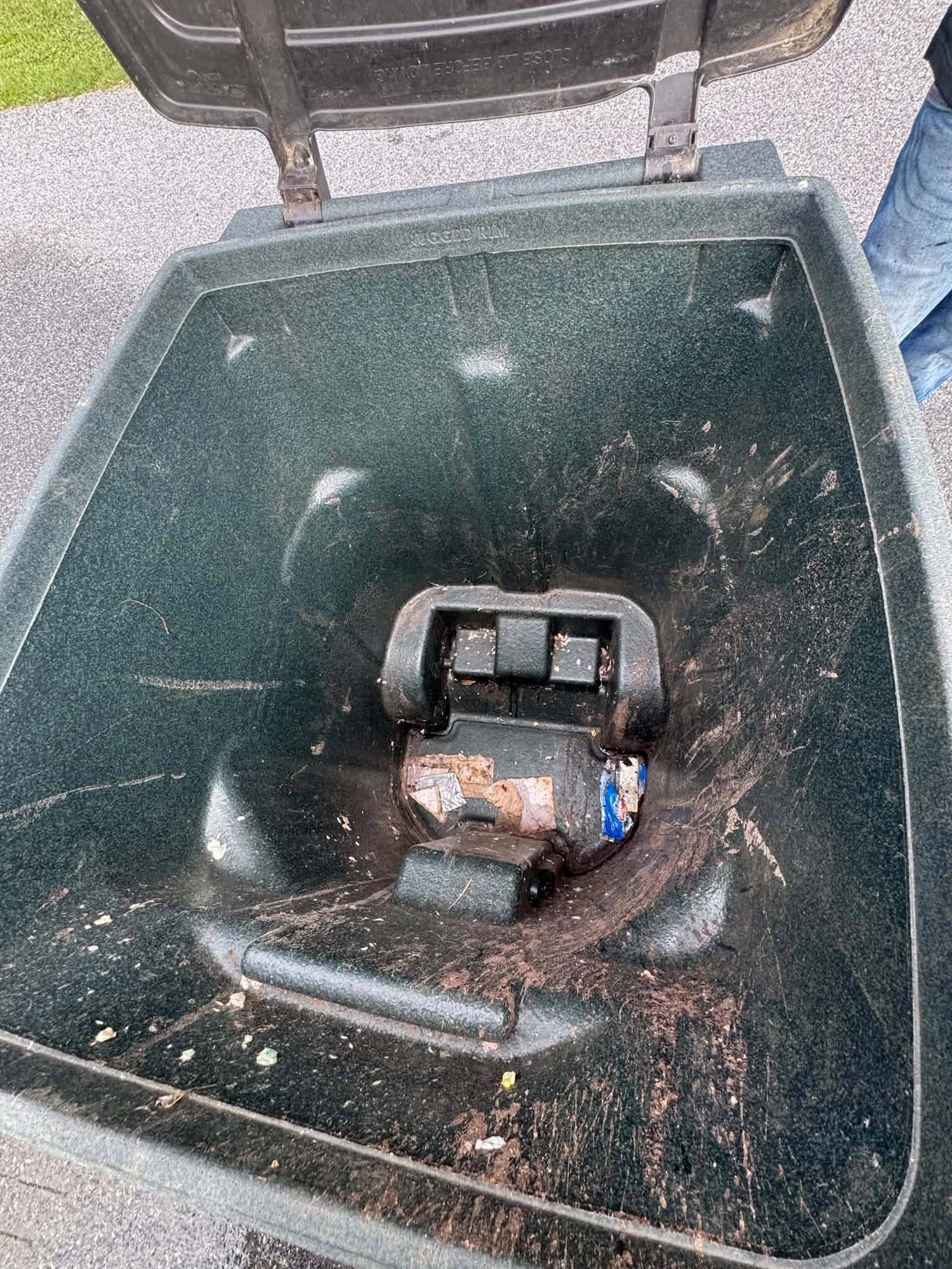 Inside the Bin before cleaning