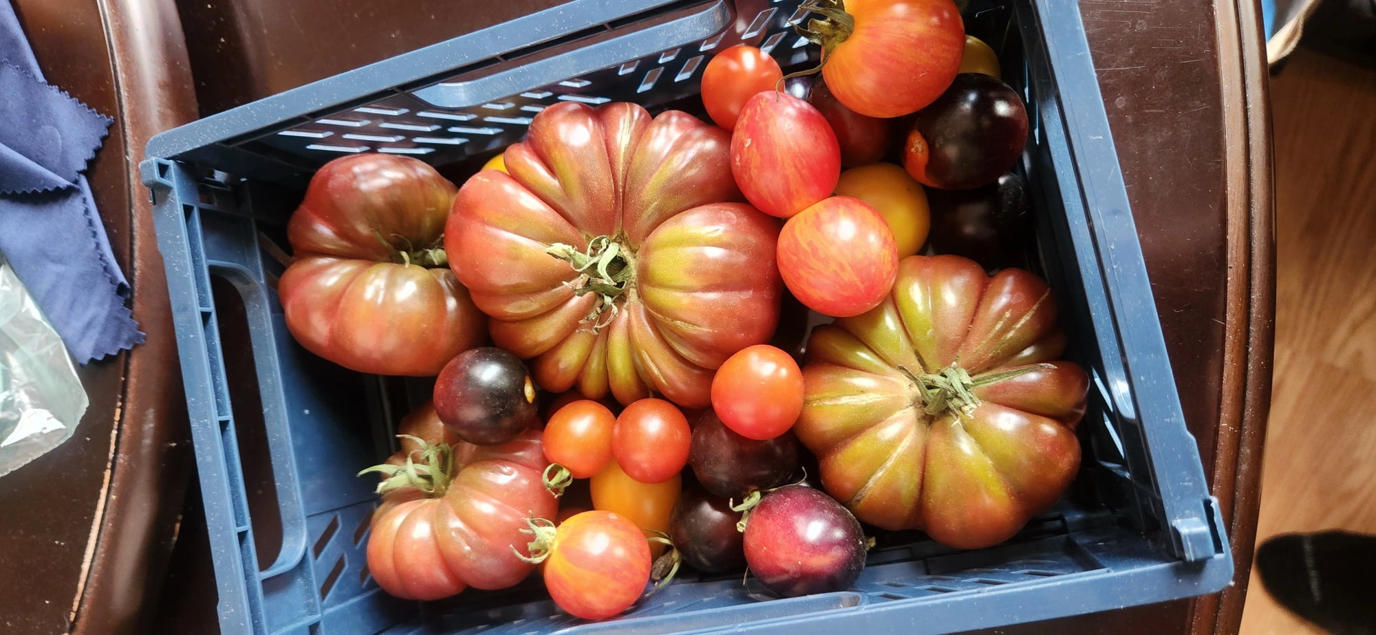 Heirlooms, just picked