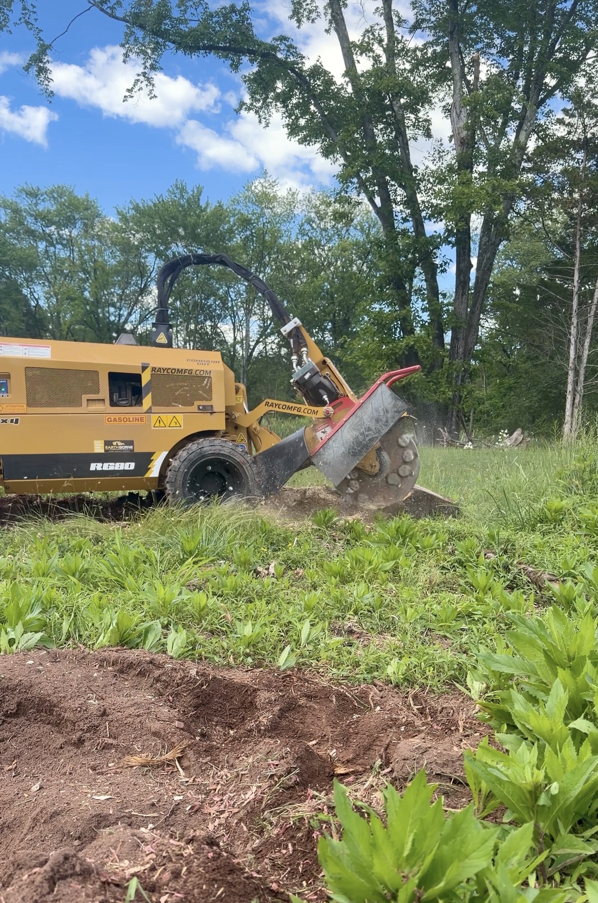 Tree Service / Land Clearing — photo 1