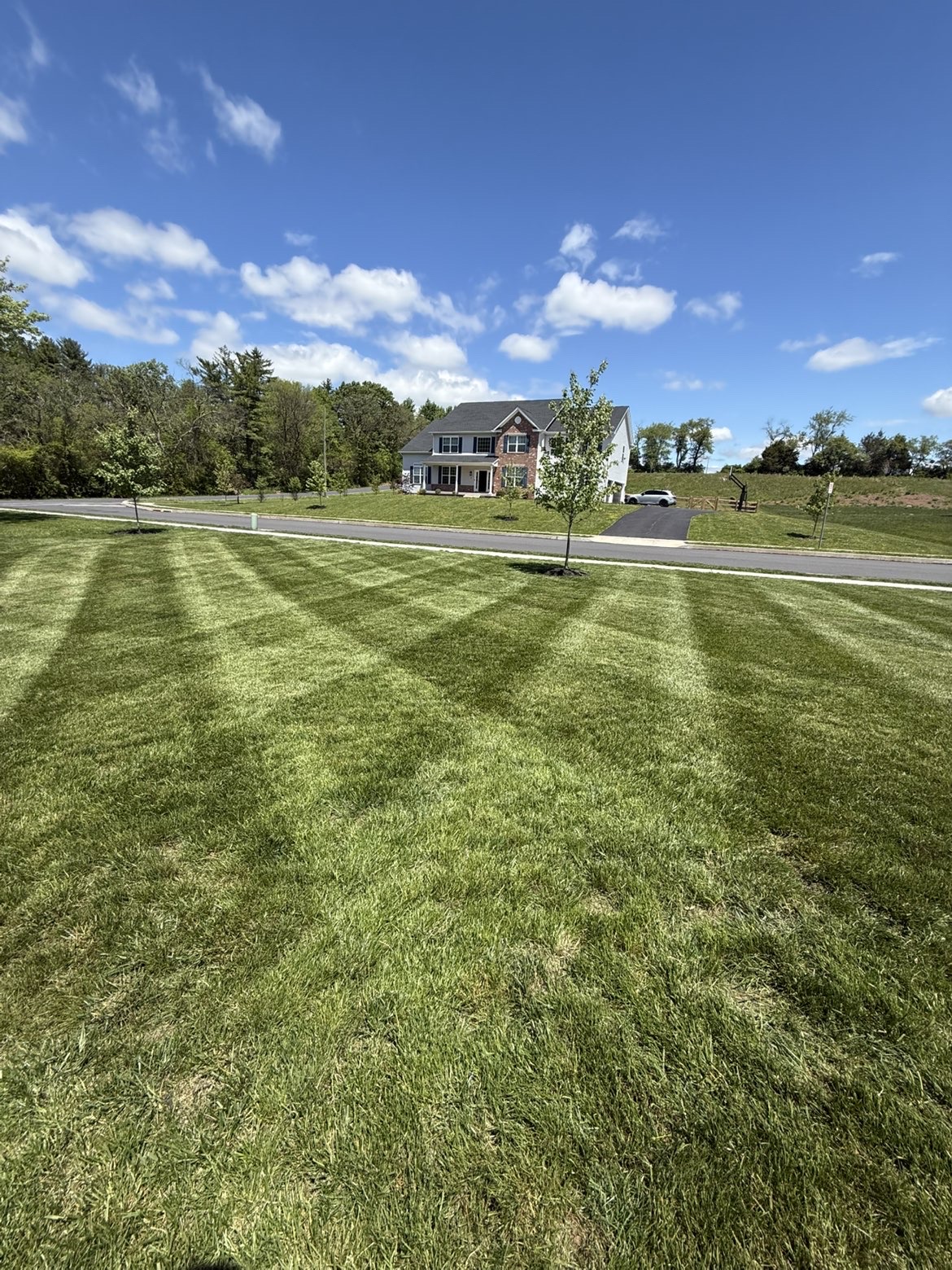 Lawn Care — additional work