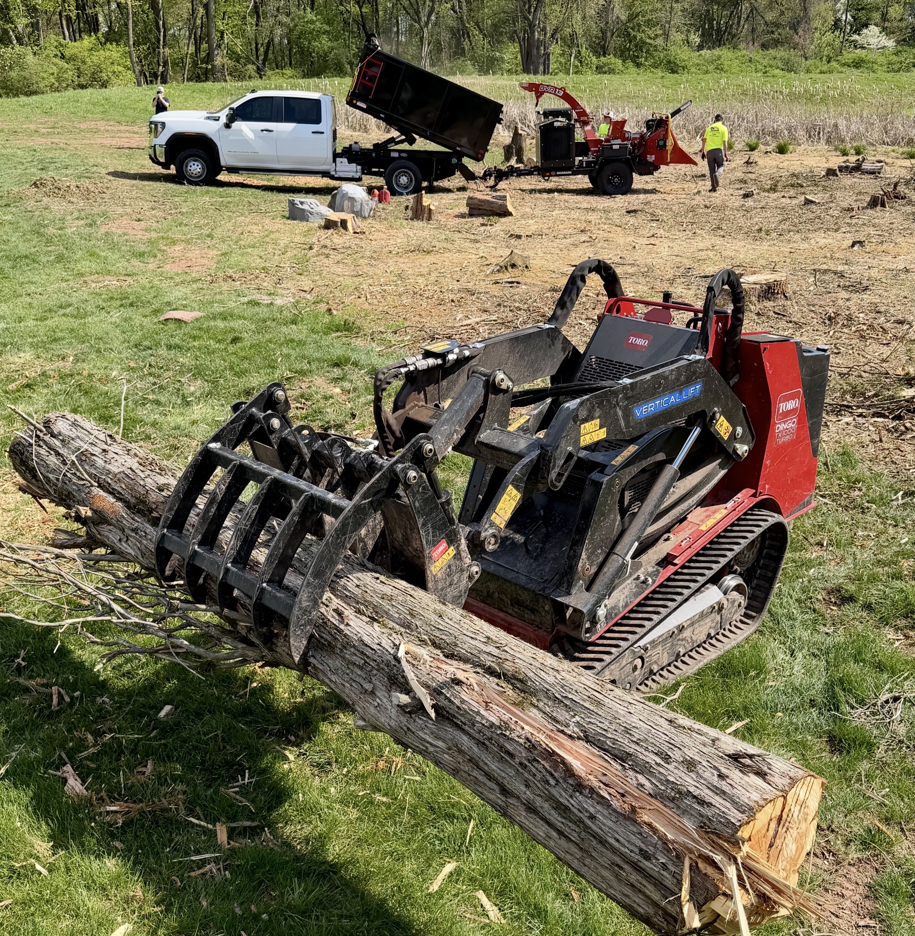 Tree Service / Land Clearing — photo 4