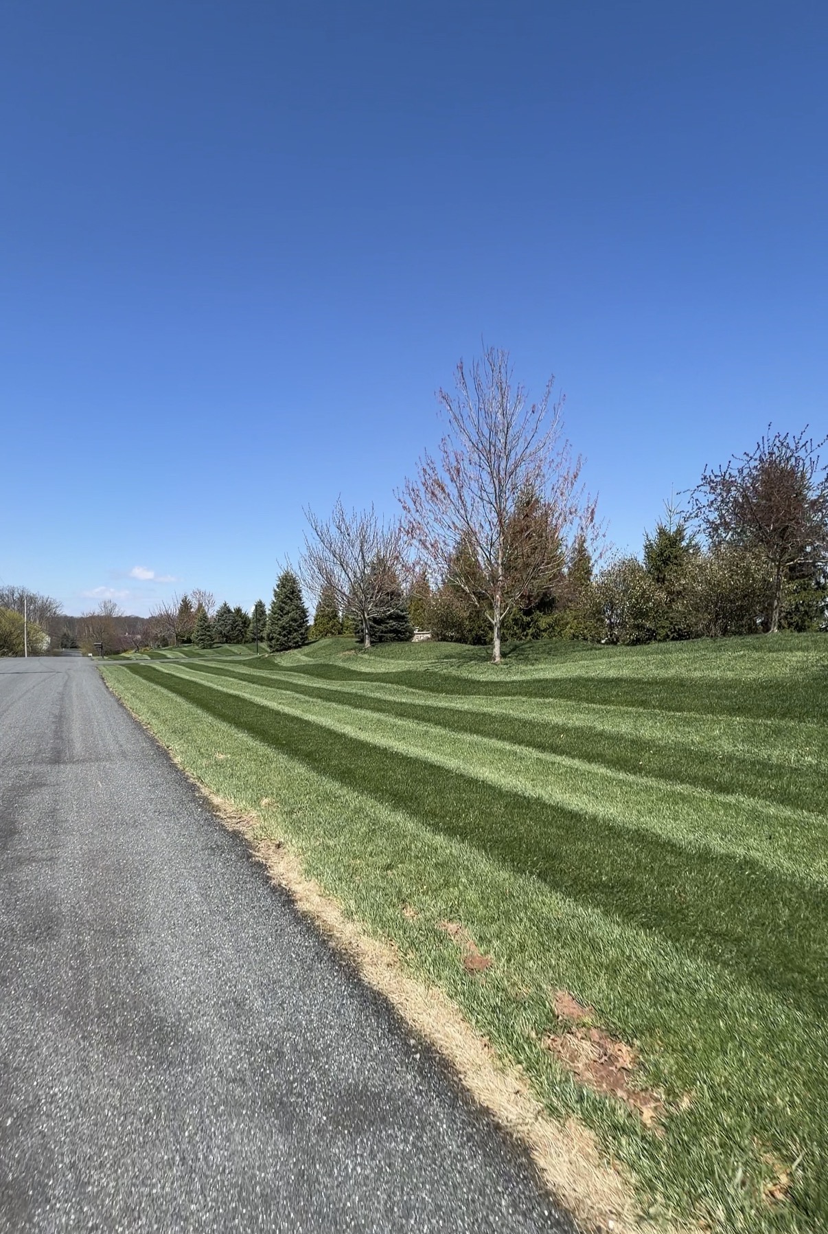 Lawn Care — photo 2