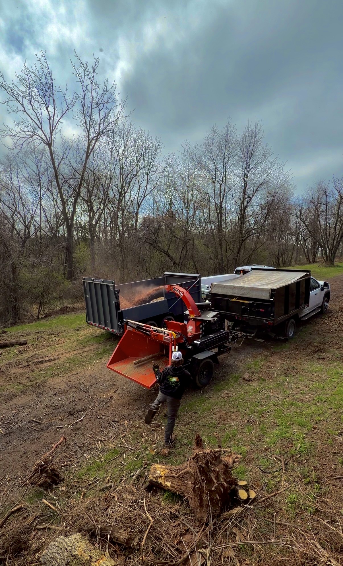 Tree Service / Land Clearing