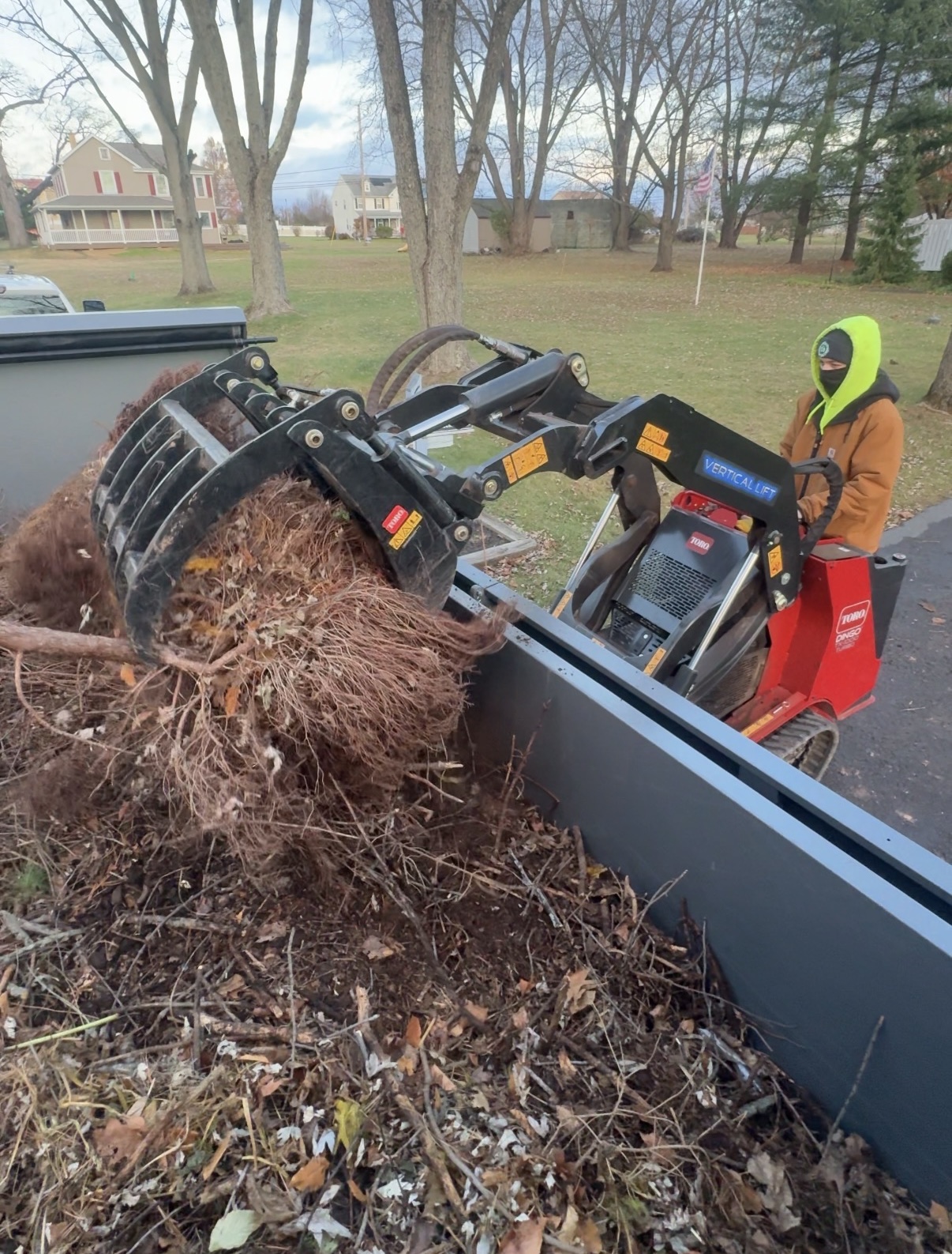 Tree Service / Land Clearing — photo 3