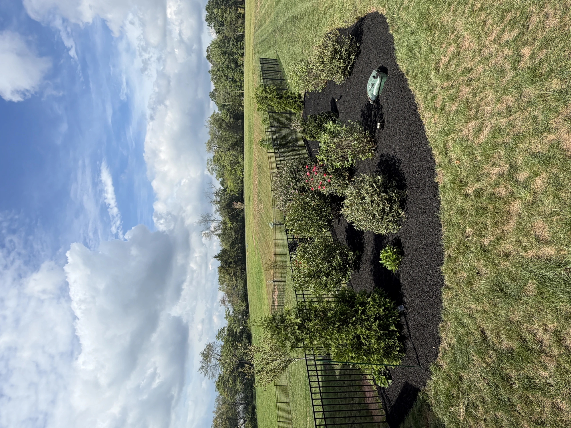 Landscaping — photo 1