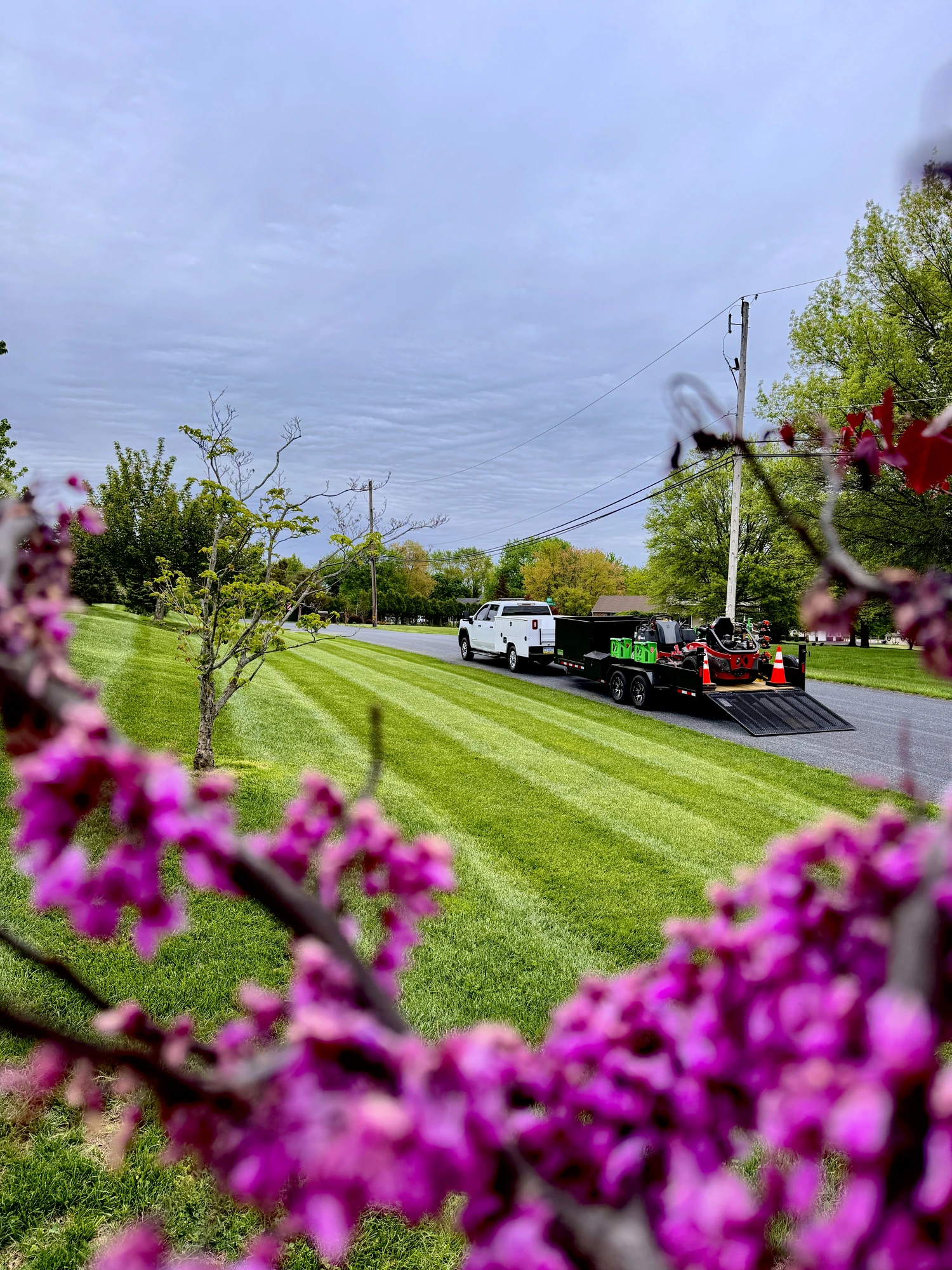 Lawn Care