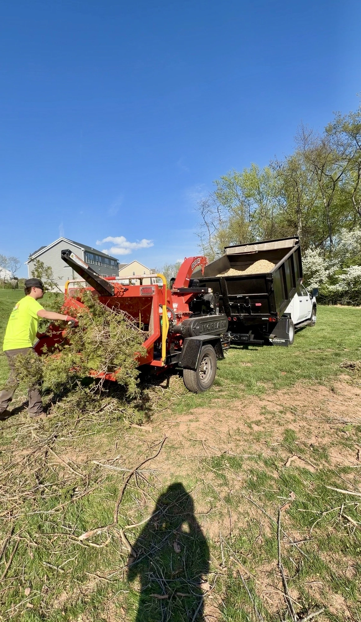 Tree Service / Land Clearing — additional work